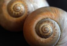 Czy podczas stosunku czuć spiralę?